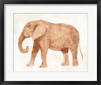 Elephant Wisdom I Framed Print