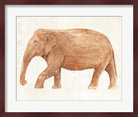 Elephant Wisdom II Fine Art Print