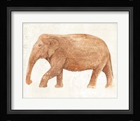 Elephant Wisdom II Framed Print