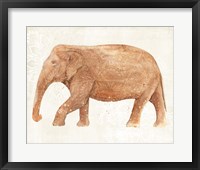 Elephant Wisdom II Framed Print