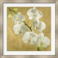 Orchids on a Golden Background I Fine Art Print