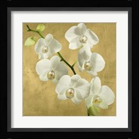 Orchids on a Golden Background I Framed Print