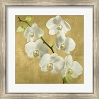 Orchids on a Golden Background I Fine Art Print