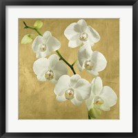 Orchids on a Golden Background I Framed Print