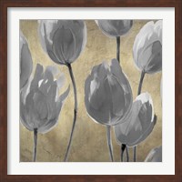 Grey Tulips I Fine Art Print