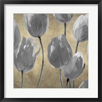 Grey Tulips I Framed Print