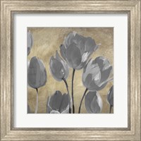 Grey Tulips II Fine Art Print