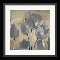 Grey Tulips II Framed Print