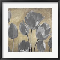Grey Tulips II Framed Print