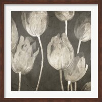 Washed Tulips I Fine Art Print