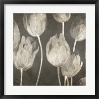 Washed Tulips I Framed Print