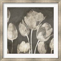 Washed Tulips II Fine Art Print