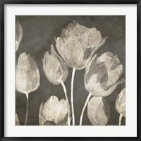Washed Tulips II Fine Art Print