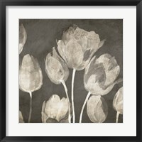 Washed Tulips II Framed Print