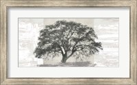 Ash Tree Panel Fine Art Print