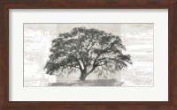 Ash Tree Panel Fine Art Print