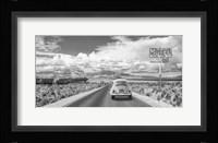 Wandering in the USA Fine Art Print