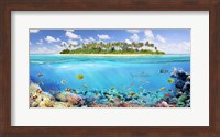 The Coral Reef Fine Art Print