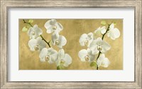Orchids on a Golden Background Fine Art Print