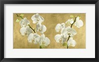 Orchids on a Golden Background Fine Art Print