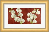 Orchids on Red Background Fine Art Print