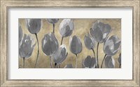Grey Tulips Fine Art Print