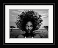 Serengeti Queen Fine Art Print