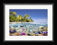 Underwater life Fine Art Print