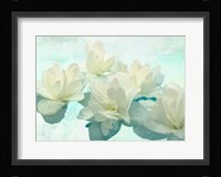 Nympheas Fine Art Print