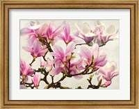Magnolia Branch (neutral) Fine Art Print