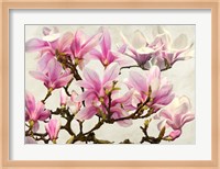 Magnolia Branch (neutral) Fine Art Print