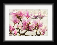 Magnolia Branch (neutral) Fine Art Print