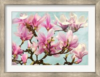 Magnolia Branch (turquoise) Fine Art Print