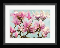 Magnolia Branch (turquoise) Fine Art Print