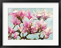 Magnolia Branch (turquoise) Fine Art Print
