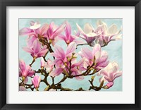 Magnolia Branch (turquoise) Fine Art Print