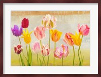 Tulipani d'estate Fine Art Print