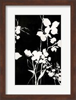 Silhouette Leaves 1 Fine Art Print