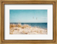 Beach & Gulls Fine Art Print