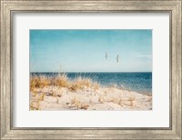 Beach & Gulls Fine Art Print