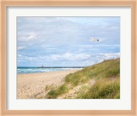 Beach & Jetty Fine Art Print