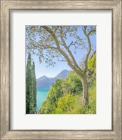 Lago di Como View No. 2 Fine Art Print