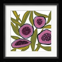 Bloom Burst Fine Art Print