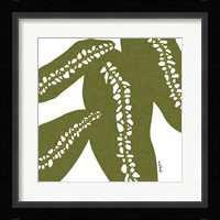 Rhaphido Fine Art Print