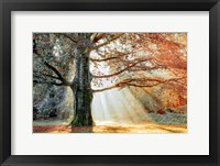 Basking In The Sun Fine Art Print