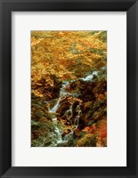 Hidden Waterfall Fine Art Print