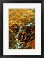 Hidden Waterfall Fine Art Print