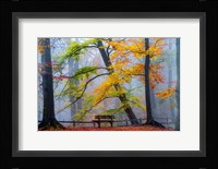 Take A Seat And Enjoy Fine Art Print