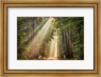 This Beam is Booming Fine Art Print