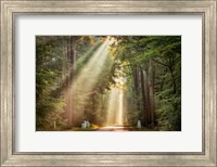 This Beam is Booming Fine Art Print